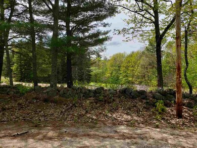 0 Walsh Rd, Wakefield, NH 03872 - photo 2