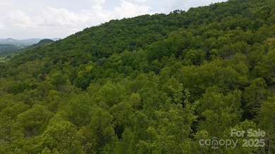 0 Cove Gap Rd unit Offering 1, Moravian Falls, NC 28654 - photo 6