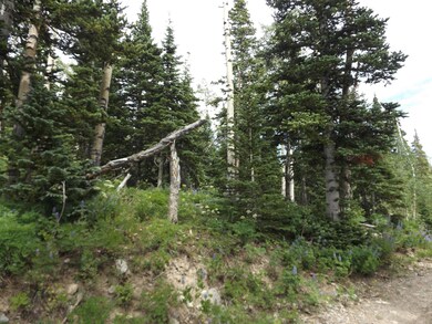 103 S Spring Cir unit Lot 18, blk F, Unit, Brian Head, UT 84719 - photo 6