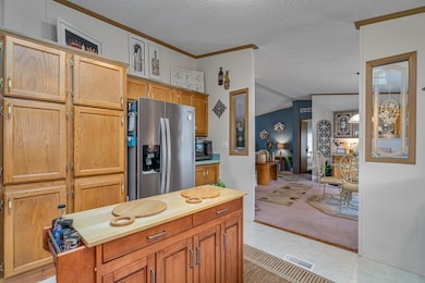 22710 S Ravisloe Ln, Frankfort, IL 60423 - photo 4