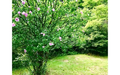 0 Rainbow Rd unit 299437, Suches, GA 30572 - photo 3