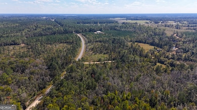 0 Stewart Cemetery Rd, Alma, GA 31510 - photo 3