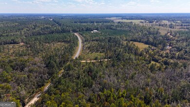 0 Stewart Cemetery Rd unit 10650398, Alma, GA 31510 - photo 3