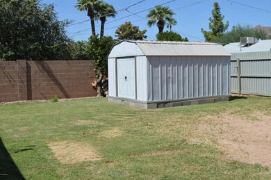 GRASSY BACKYARD