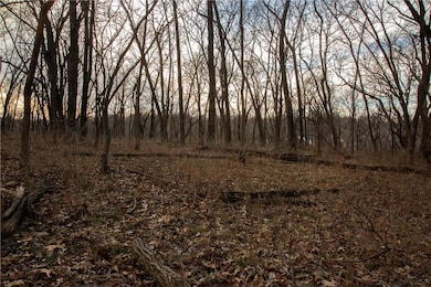 705 NE Noeleen Ln, Lee's Summit, MO 64086 - photo 4