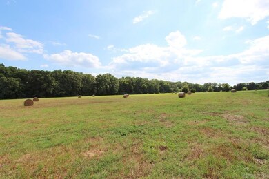 278-H U S Highway 64, Conway, AR 72032 - photo 6