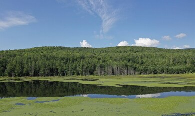 77 Austin Pond Rd, Johnsburg, NY 12853 - photo 7