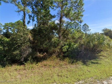 2604 Fitch Ave, Alva, FL 33920 - photo 3