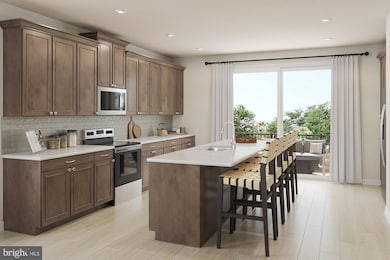 20869 Murry Falls Terrace, Ashburn, VA 20147 - photo 5