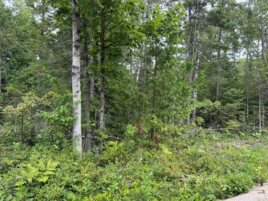 0 Europe Bay Rd unit 144452, Liberty Grove, WI 54210 - photo 2