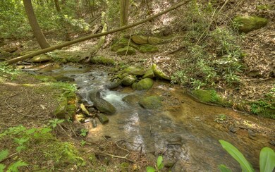 Additional View
