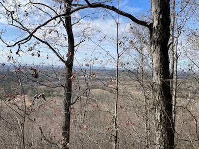 0 Alabama Hwy unit 21222630, Rock Spring, GA 30739 - photo 6