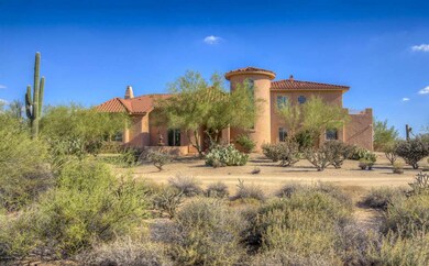 Priceless setting in Sonoran Desert