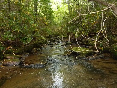Boldly Flowing Mayberry Creek