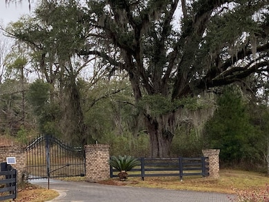 Lots Lott 19 & 20, Bainbridge, GA 39817 - photo 3