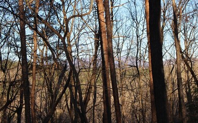 Additional View