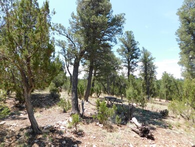 1919 Elk Rd2 (5)