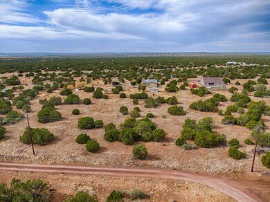 1280 Geronimo Dr, Show Low, AZ 85901 - photo 7