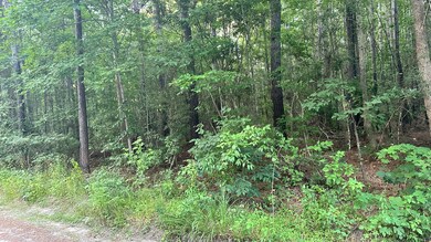 0 Pearl Acres Ln, Huger, SC 29450 - photo 4