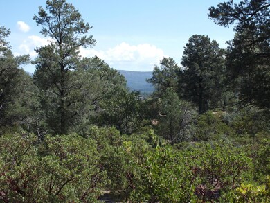 Views to Diamond Point