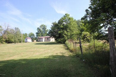 IMG_0242
