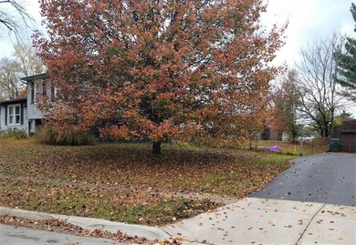 Co4101-rest of fenced back yard