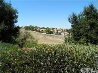 2238 Monteverde Dr, Chino Hills, CA 91709 - photo 5