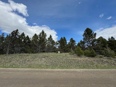 704 Flint View Rd, Deer Lodge, MT 59722 - photo 6