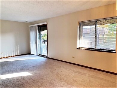 103 Caterpillar Dr unit 3B, Joliet, IL 60436 - photo 4