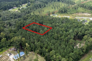 Aerial view of property and surrounding area featuring a heavily wooded area and property boundaries highlighted
