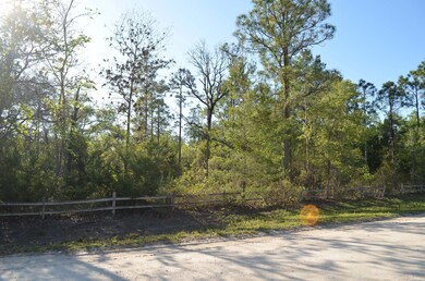 000 Sea Grass Dr unit 1, Keaton Beach, FL 32348 - photo 4