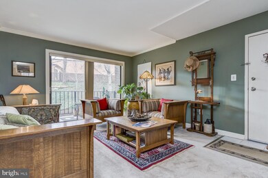 17816 Buehler Rd unit 166, Olney, MD 20832 - photo 6