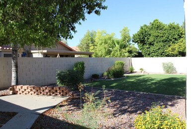 Backyard view 5