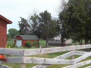 Garden shed in back Yard