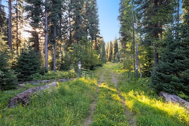 5750 N Fork Rd, Columbia Falls, MT 59912 - photo 4