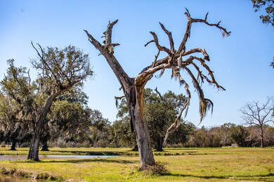 0 County Road 628 unit 3679825, Brazoria, TX 77422 - photo 4
