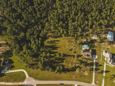 Lot 14 Sandy Creek Ln unit 14, Thomasville, GA 31757 - photo 4