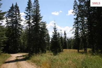 Lot 4 Larsen Ranch Ln, Sandpoint, ID 83864 - photo 3