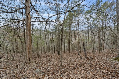Lot 10 Greenbrier Dr, Kimberling City, MO 65686 - photo 4