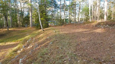 LotOnRainbowLake_Lot