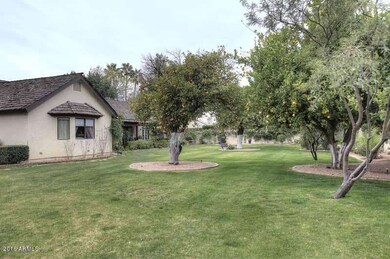 Backyard2