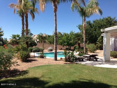 Amazing Backyard and Trees!