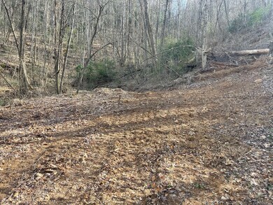 Lot 4 Copperhead Cove Rd, Sylva, NC 28779 - photo 7