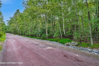 812 Beaver Run, Pocono Lake, PA 18347 - photo 3