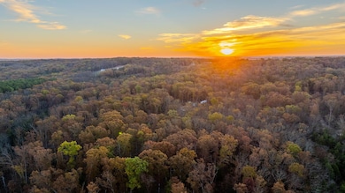 5785 Evergreen Loop, Leslie, MO 63056 - photo 6