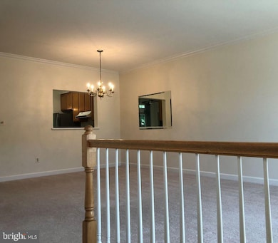 3610 Ransom Place, Alexandria, VA 22306 - photo 2