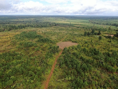 Mt Gilead Rd, Holly Springs, MS 38635 - photo 5