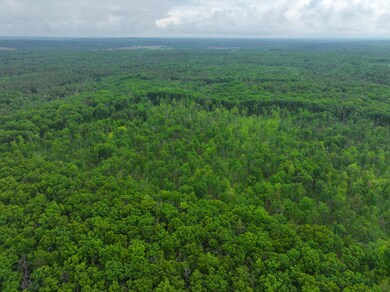 DJI_20250618155401_0640_D