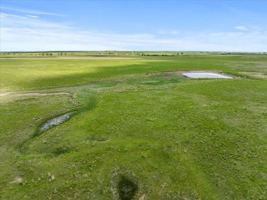 Tbd 194th St unit LotWP001, Vale, SD 57788 - photo 6