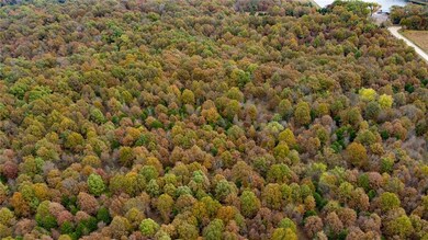 0 E 1424 Rd unit 2196255, Eldorado Springs, MO 64744 - photo 6